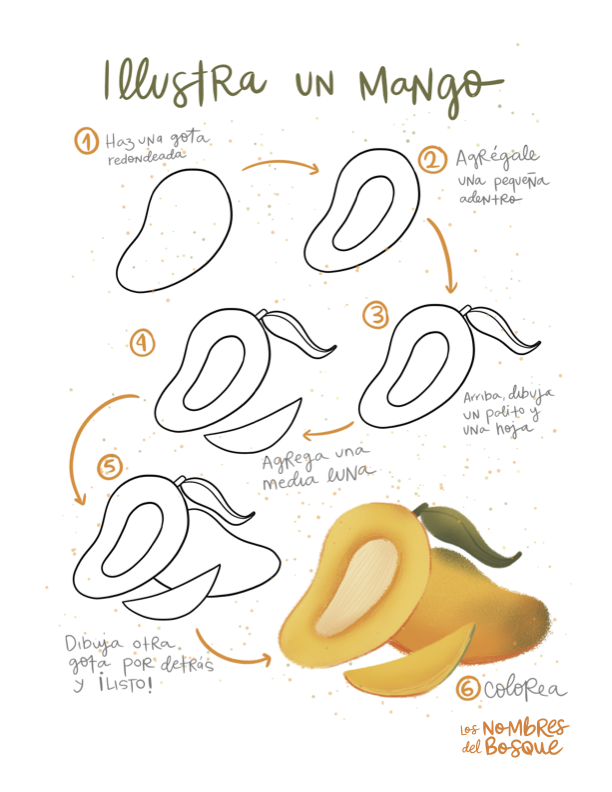 Ilustra un mango: guía ilustrada en seis pasos para dibujar y colorear un mango.