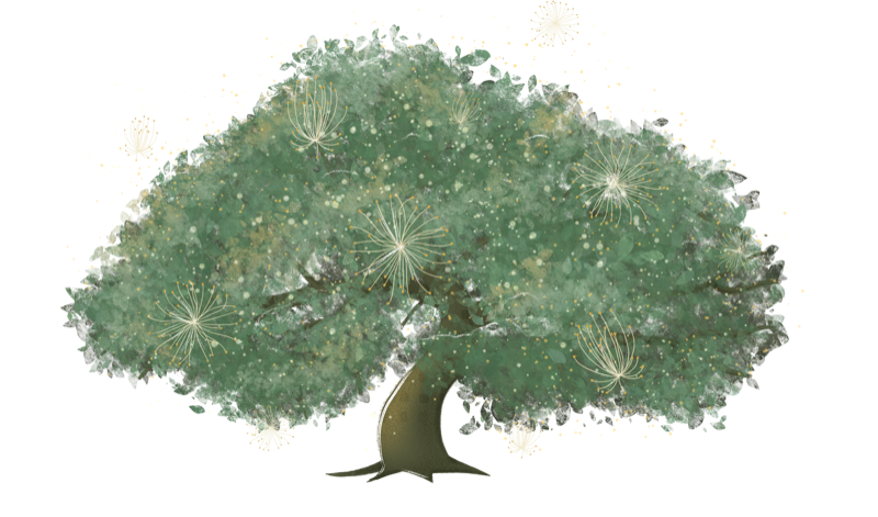 Ilustración del árbol Arrayán